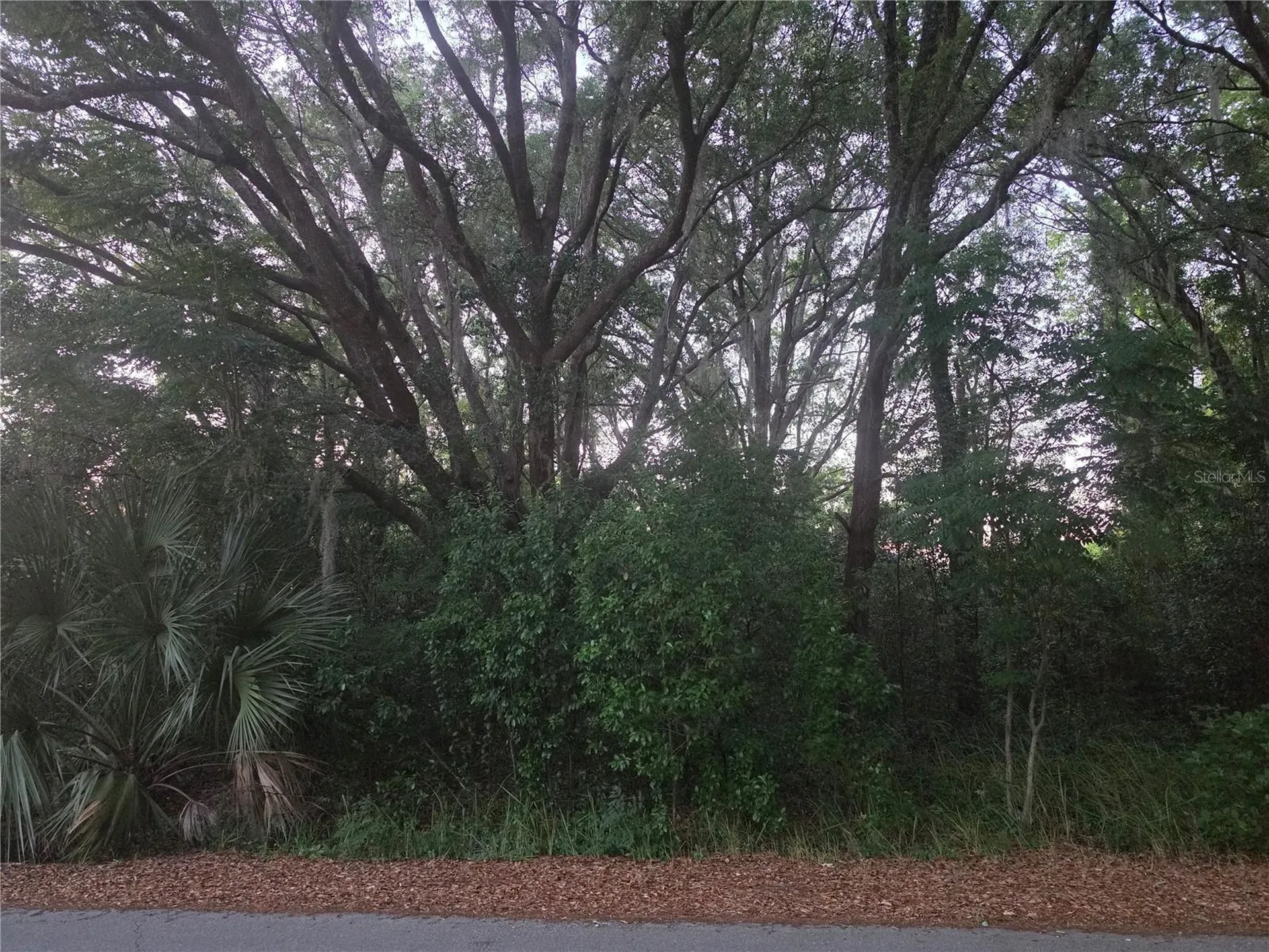 Pine Circle Ocala FL 34472
