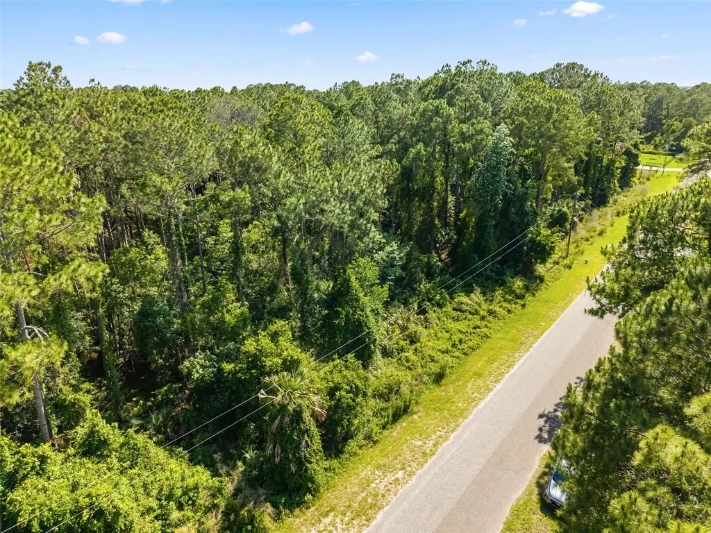 Apricot Avenue Eustis FL 32736