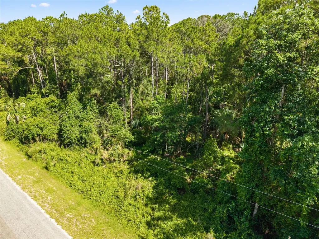 Apricot Avenue Eustis FL 32736