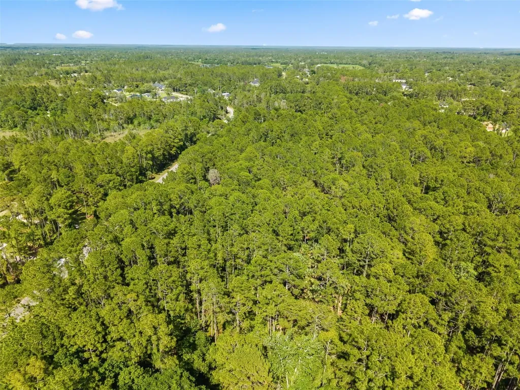 Apricot Avenue Eustis FL 32736