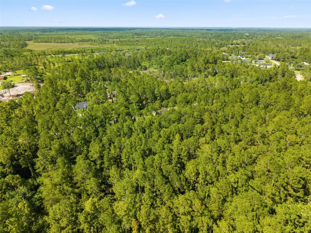 Apricot Avenue Eustis FL 32736