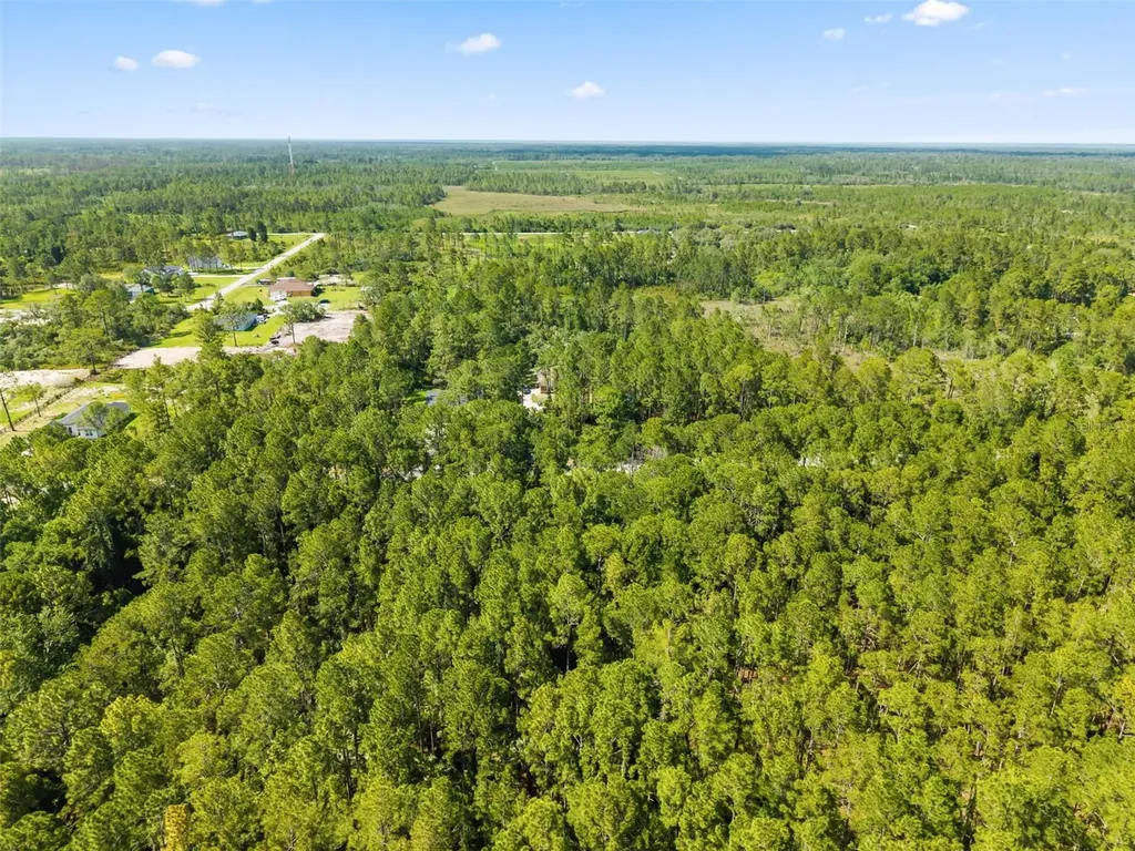 Apricot Avenue Eustis FL 32736