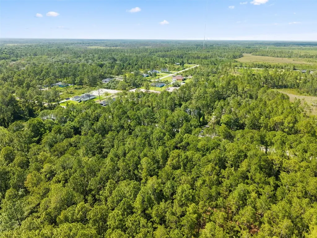 Apricot Avenue Eustis FL 32736