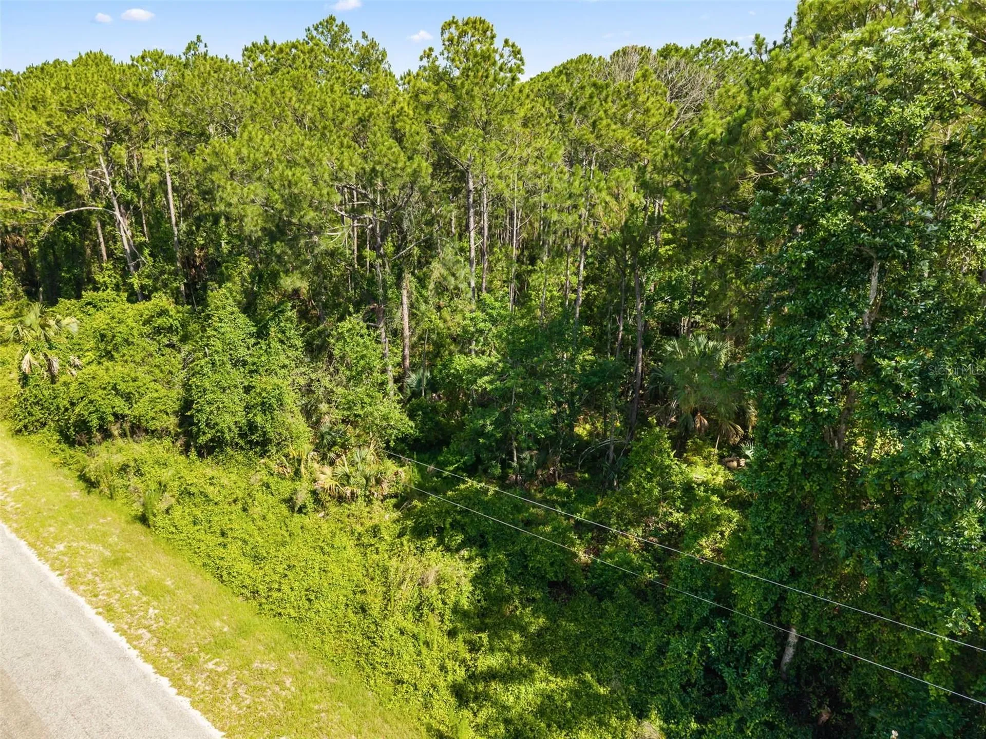 Apricot Avenue Eustis FL 32736