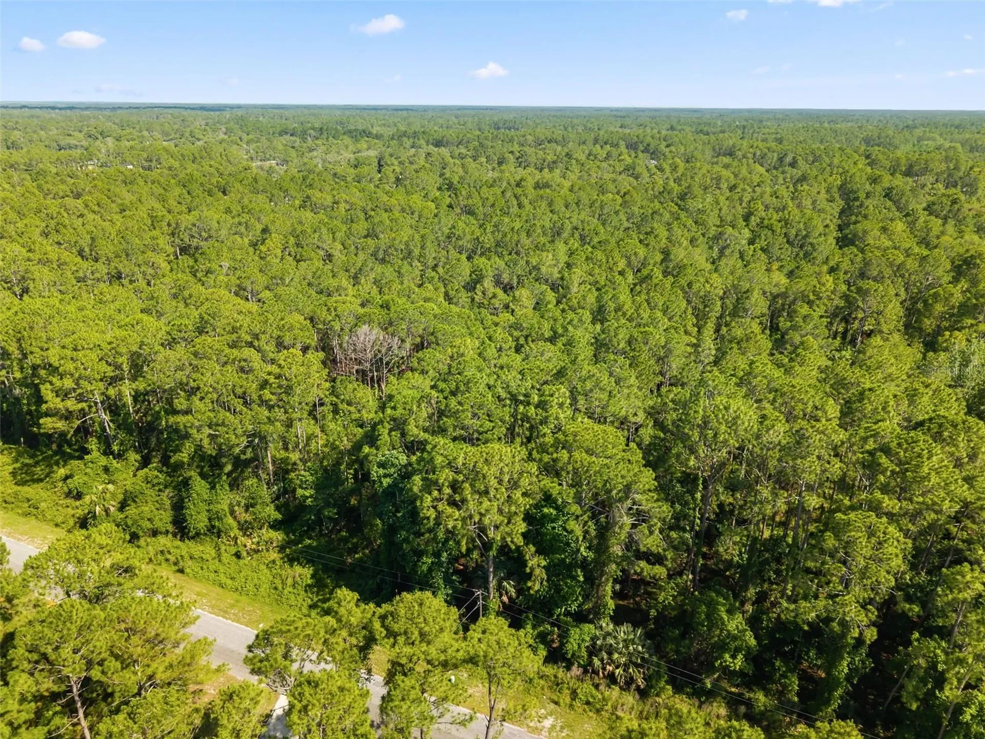 Apricot Avenue Eustis FL 32736