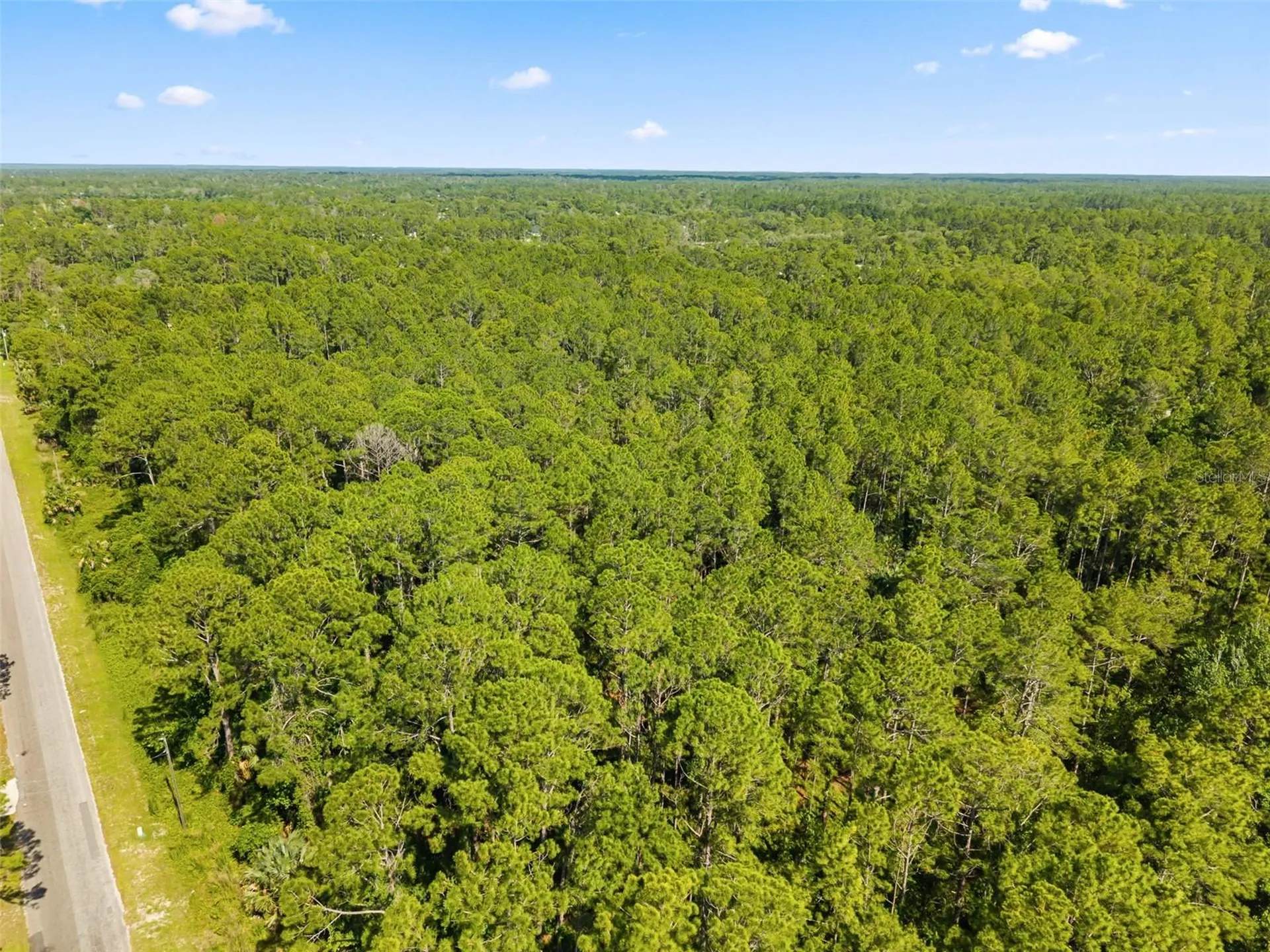 Apricot Avenue Eustis FL 32736