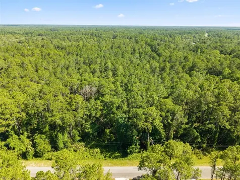 Apricot Avenue Eustis FL 32736