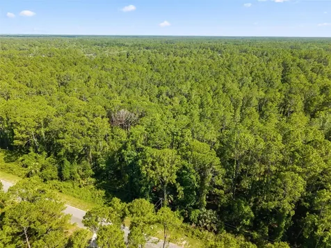 Apricot Avenue Eustis FL 32736