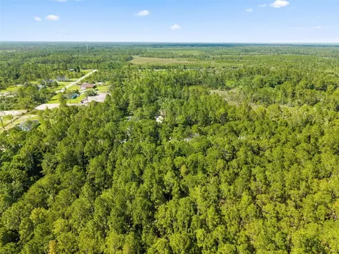 Apricot Avenue Eustis FL 32736