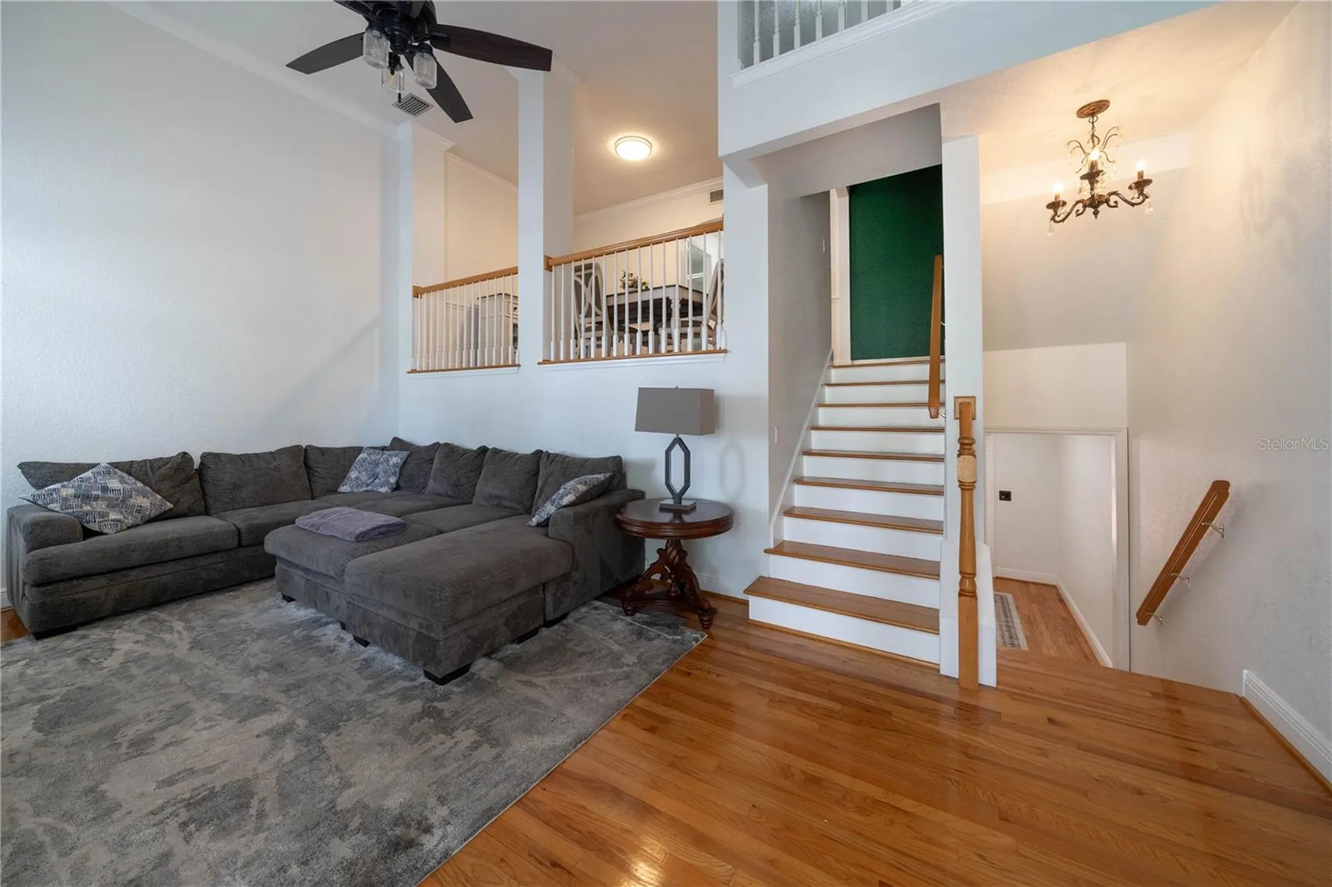 3315 W De Leon Street Tampa FL 33609