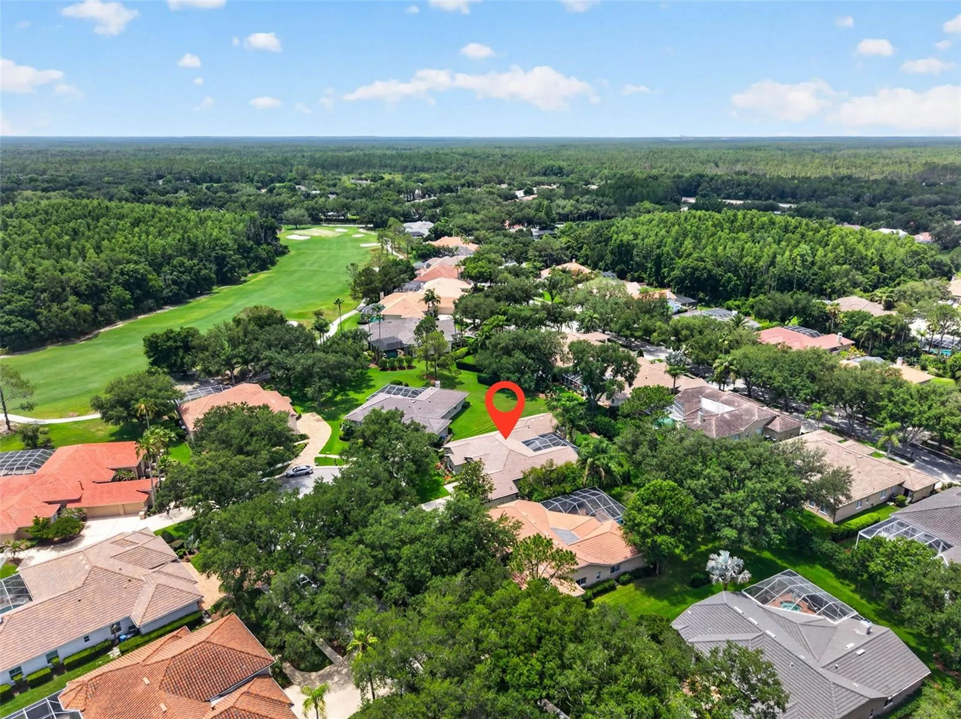 17804 Ridgeway Court Tampa FL 33647