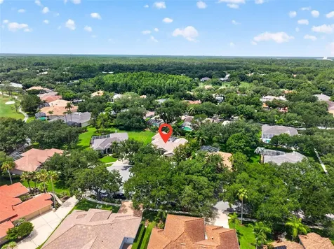 17804 Ridgeway Court Tampa FL 33647
