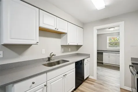 280 W Fern Drive Orange City FL 32763