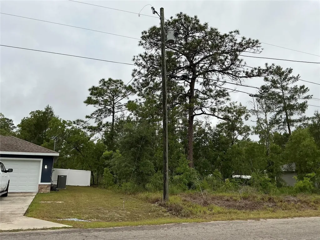Fisher Lane Terrace Ocklawaha FL 32179