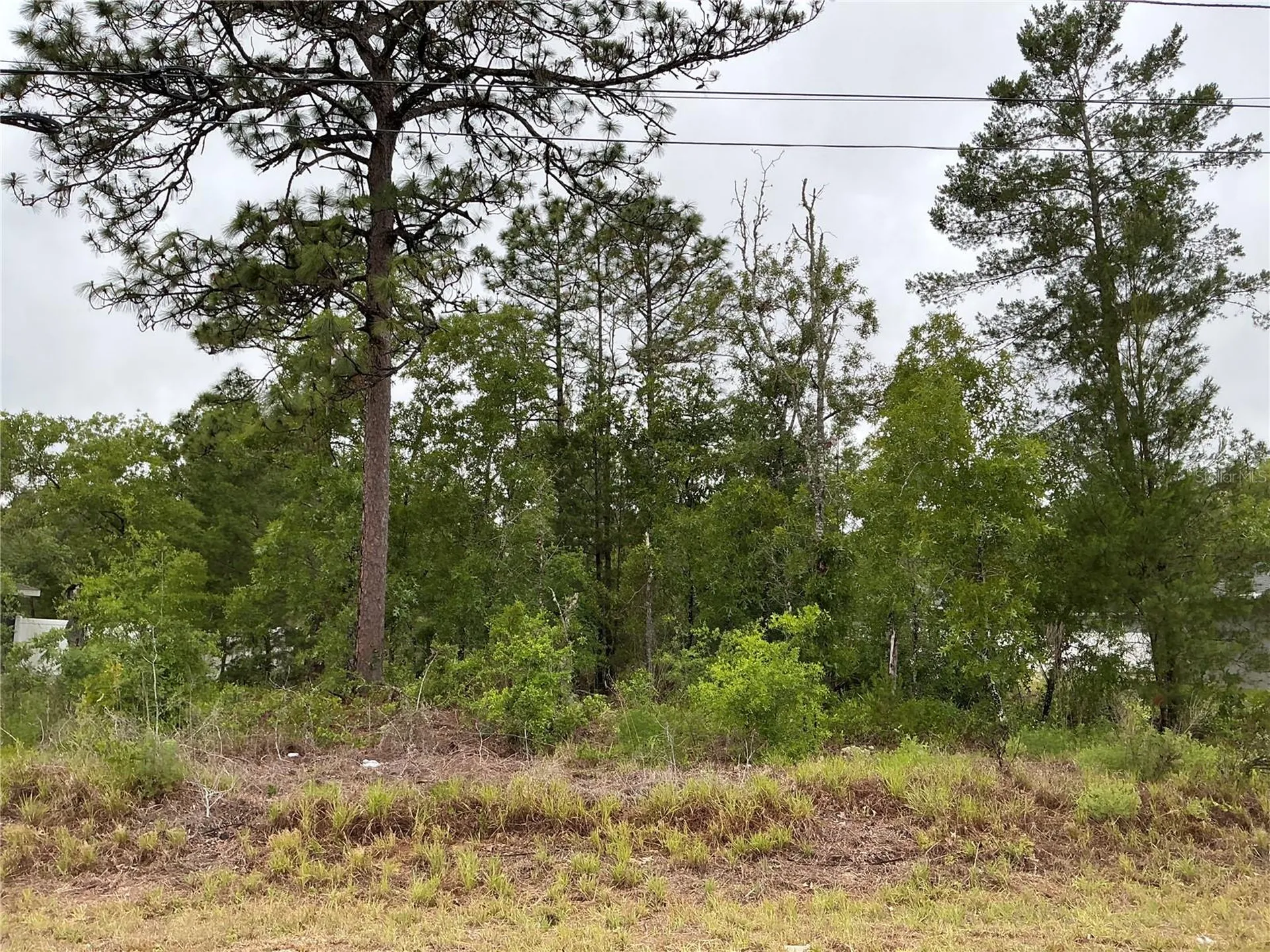 Fisher Lane Terrace Ocklawaha FL 32179
