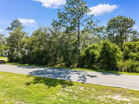Royal Trails Road Eustis FL 32726