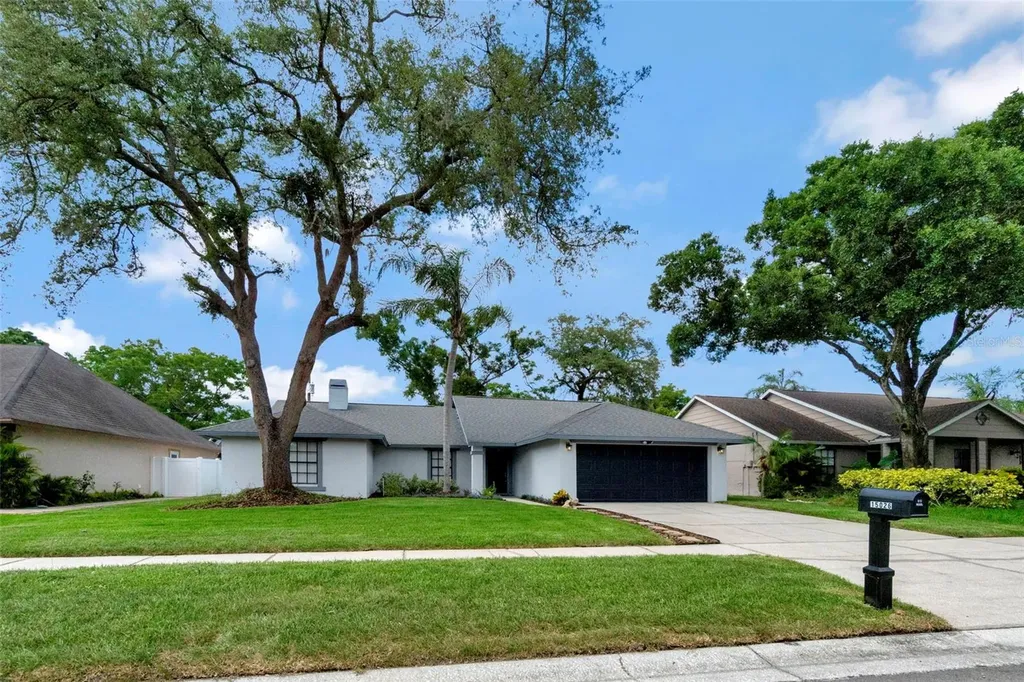 15026 Redcliff Drive Tampa FL 33625