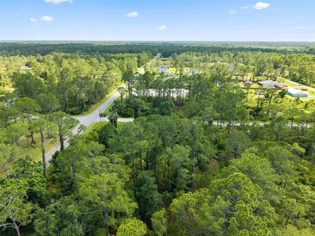Royal Trails Road Eustis FL 32726