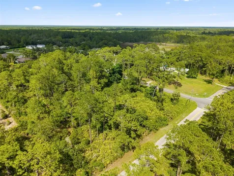 Royal Trails Road Eustis FL 32726