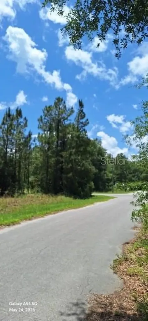 Lot 15 Ficher Lane Ocklawaha FL 32179