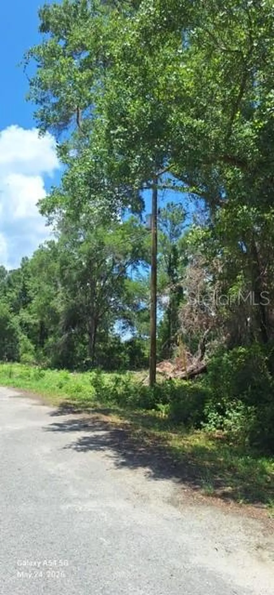 Lot 15 Ficher Lane Ocklawaha FL 32179