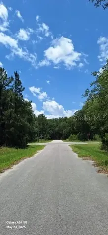 Lot 15 Ficher Lane Ocklawaha FL 32179