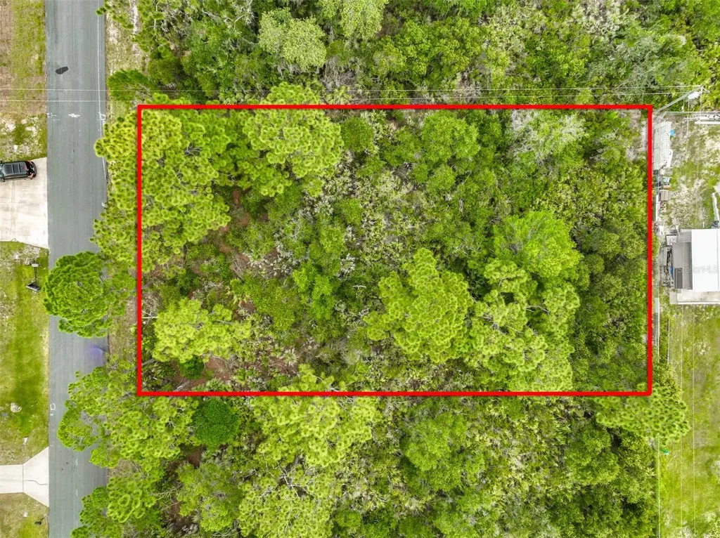 1686 Ricardo Street SE Palm Bay FL 32909