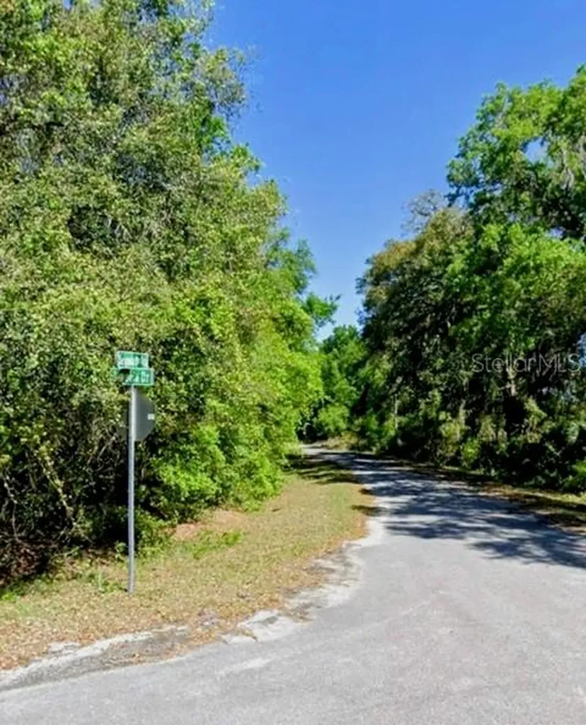 Sequoia Drive Ocklawaha FL 32179