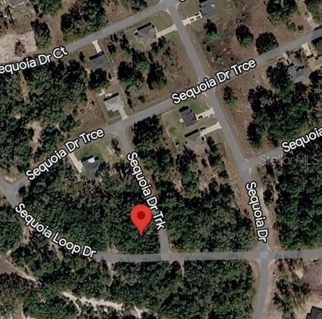 Sequoia Drive Ocklawaha FL 32179