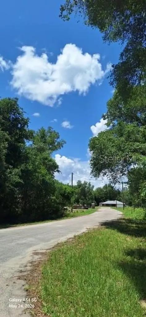 Sequoia Drive Ocklawaha FL 32179