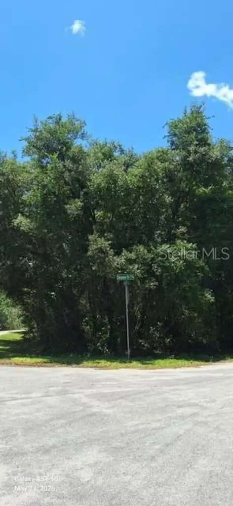Sequoia Drive Ocklawaha FL 32179