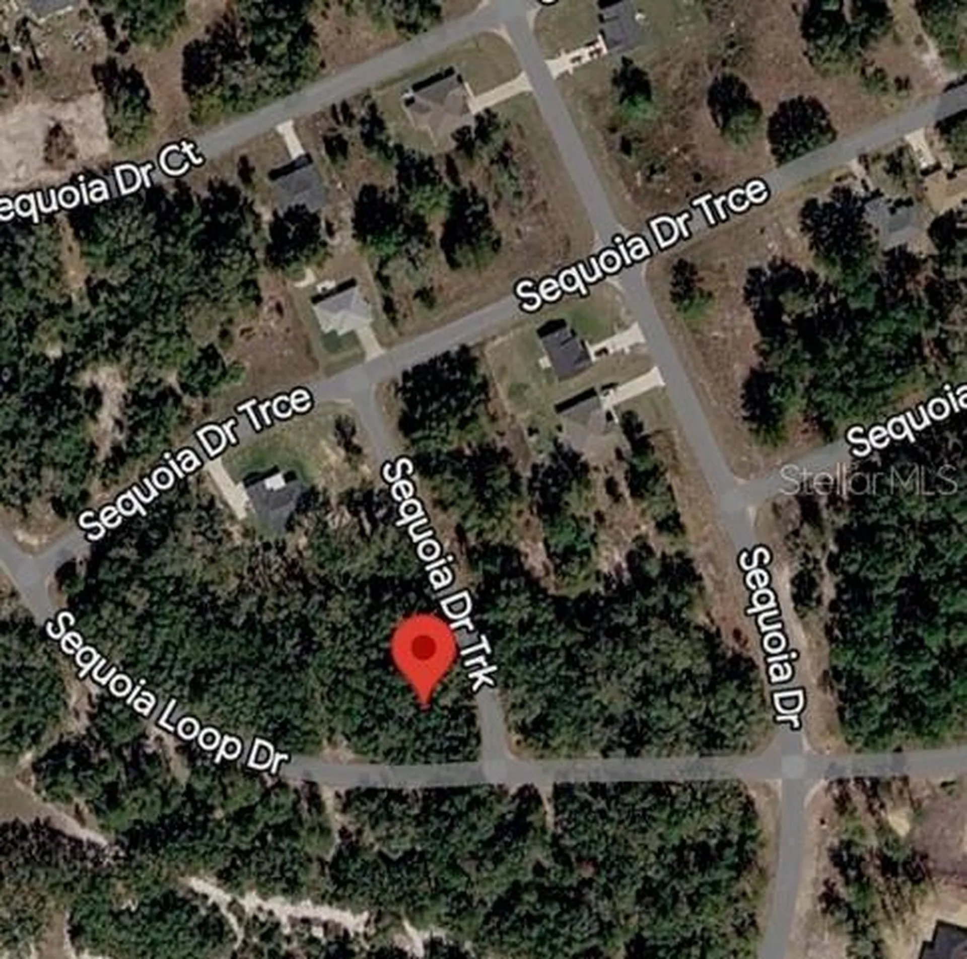 Sequoia Drive Ocklawaha FL 32179