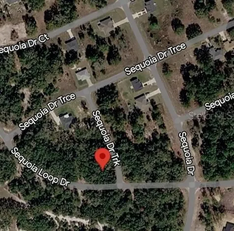 Sequoia Drive Ocklawaha FL 32179