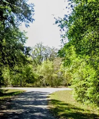 Sequoia Drive Ocklawaha FL 32179