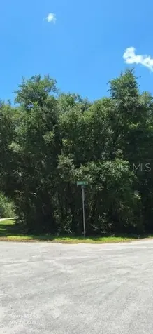 Sequoia Drive Ocklawaha FL 32179