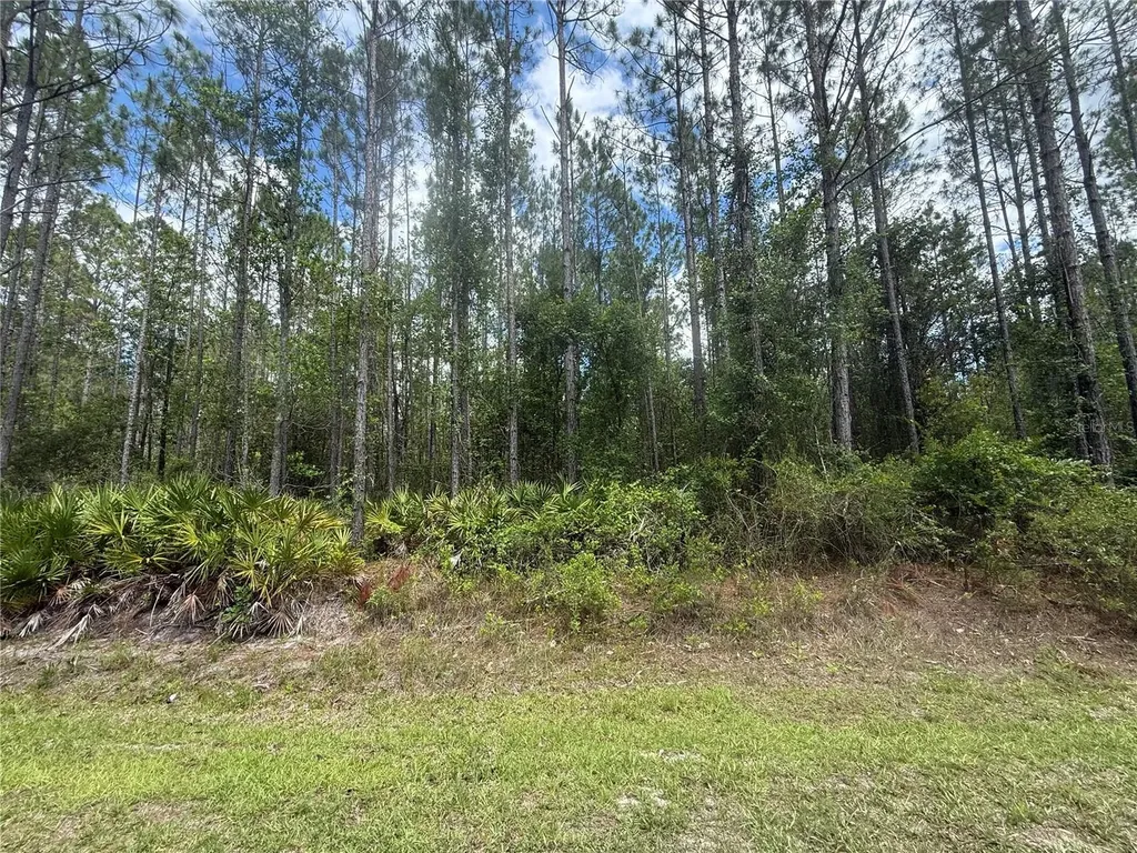 SW 89th Street Lake Butler FL 32054