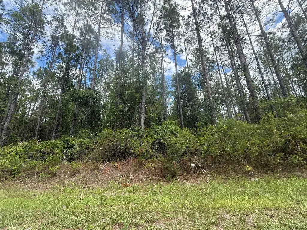 SW 89th Street Lake Butler FL 32054