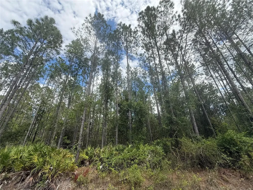 SW 89th Street Lake Butler FL 32054