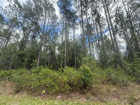 SW 89th Street Lake Butler FL 32054