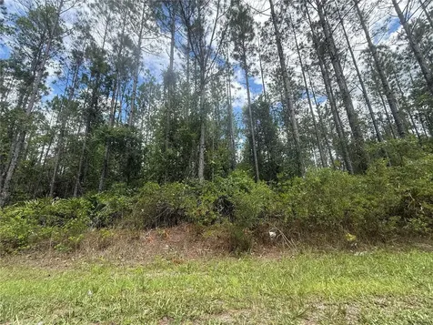 SW 89th Street Lake Butler FL 32054