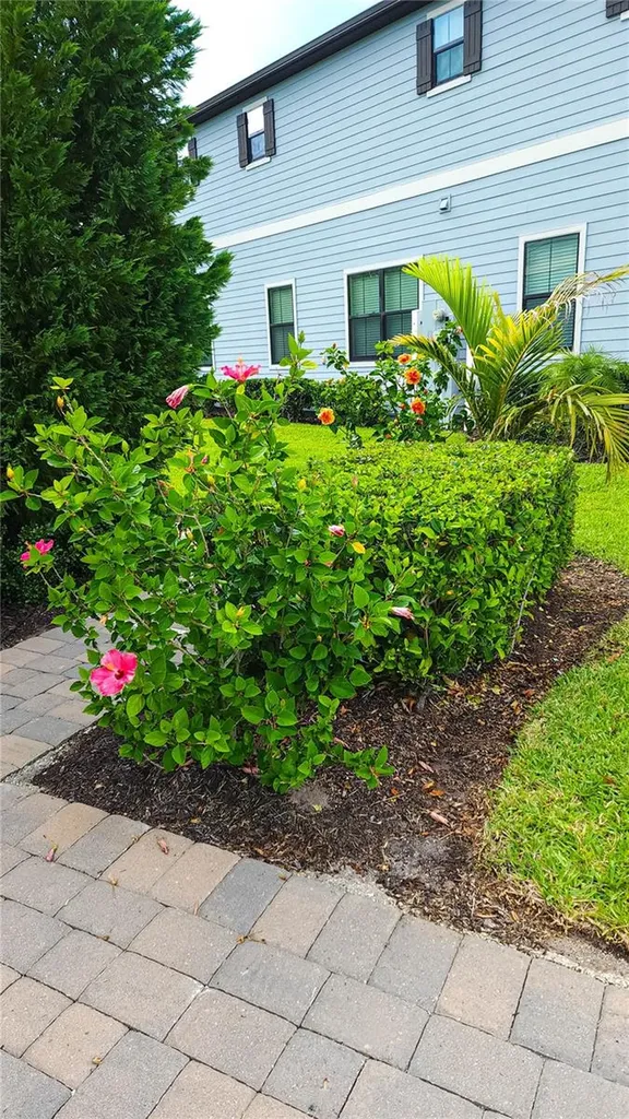 11150 Whistling Pine Way Orlando FL 32832