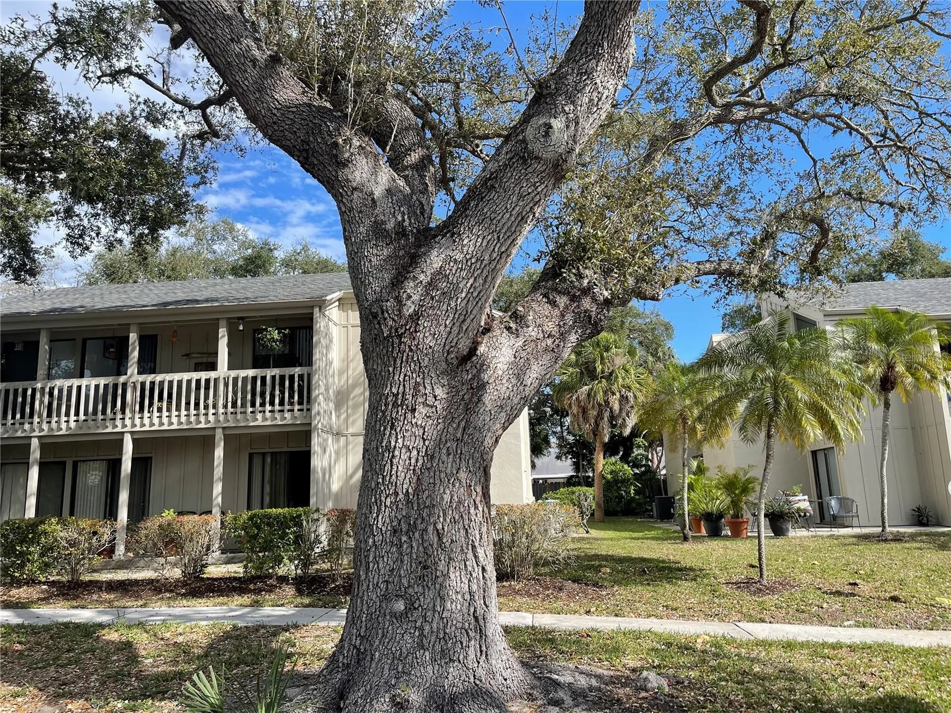 2224 Bahia Vista Street Sarasota FL 34239