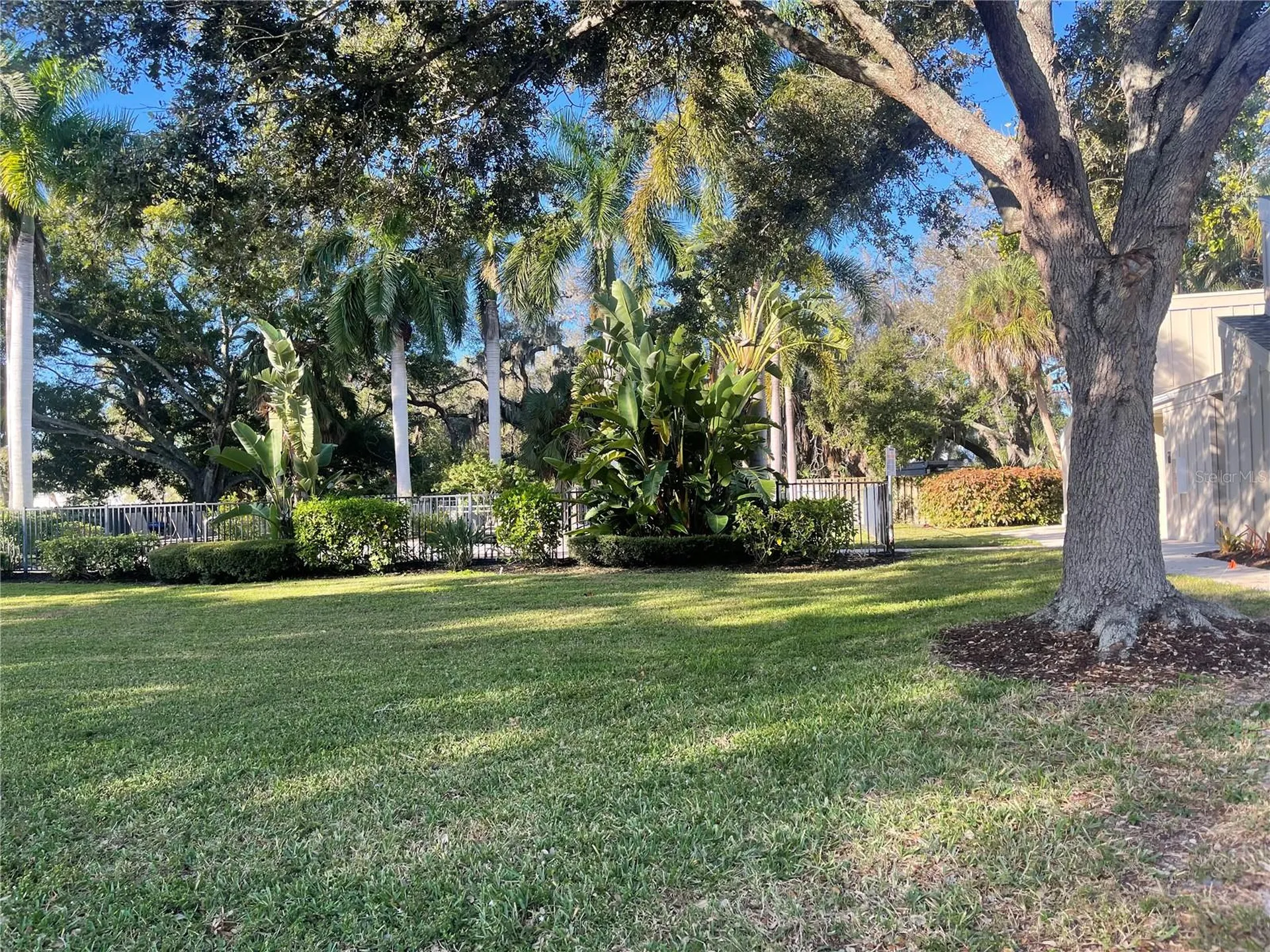 2224 Bahia Vista Street Sarasota FL 34239