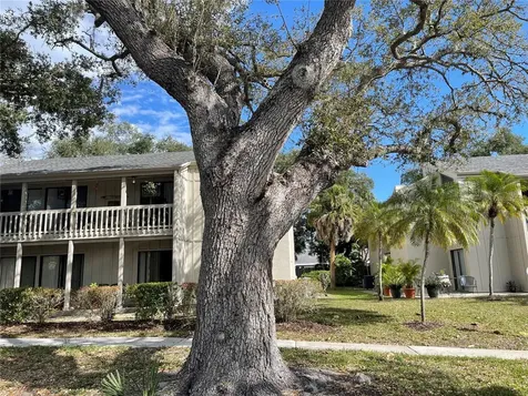 2224 Bahia Vista Street Sarasota FL 34239