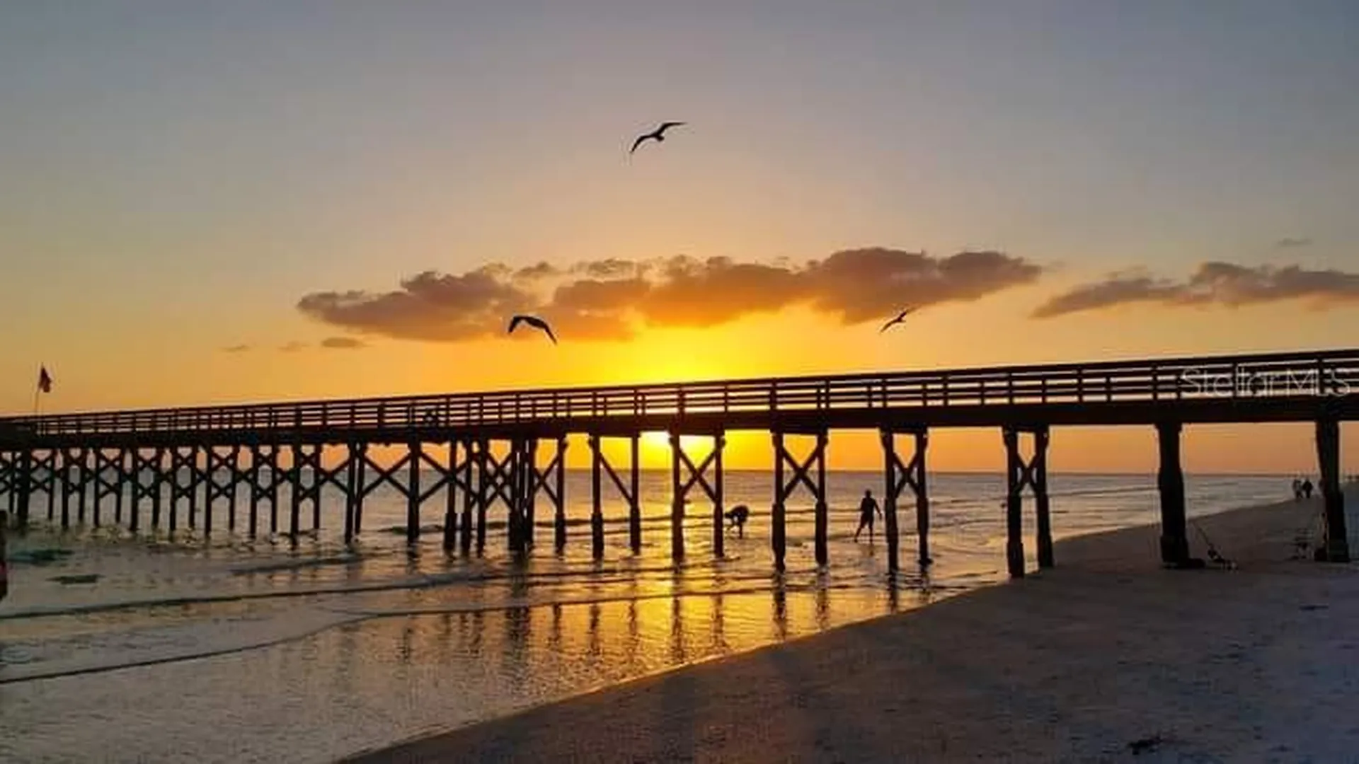 202 Bella Vista Terrace Nokomis FL 34275