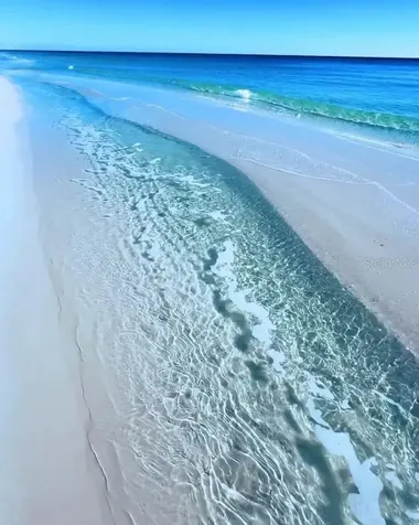 202 Bella Vista Terrace Nokomis FL 34275