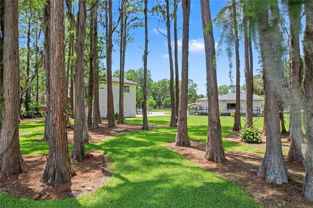 17305 Sherman Road Lutz FL 33558