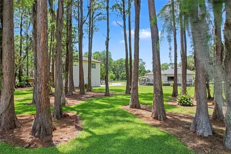 17305 Sherman Road Lutz FL 33558