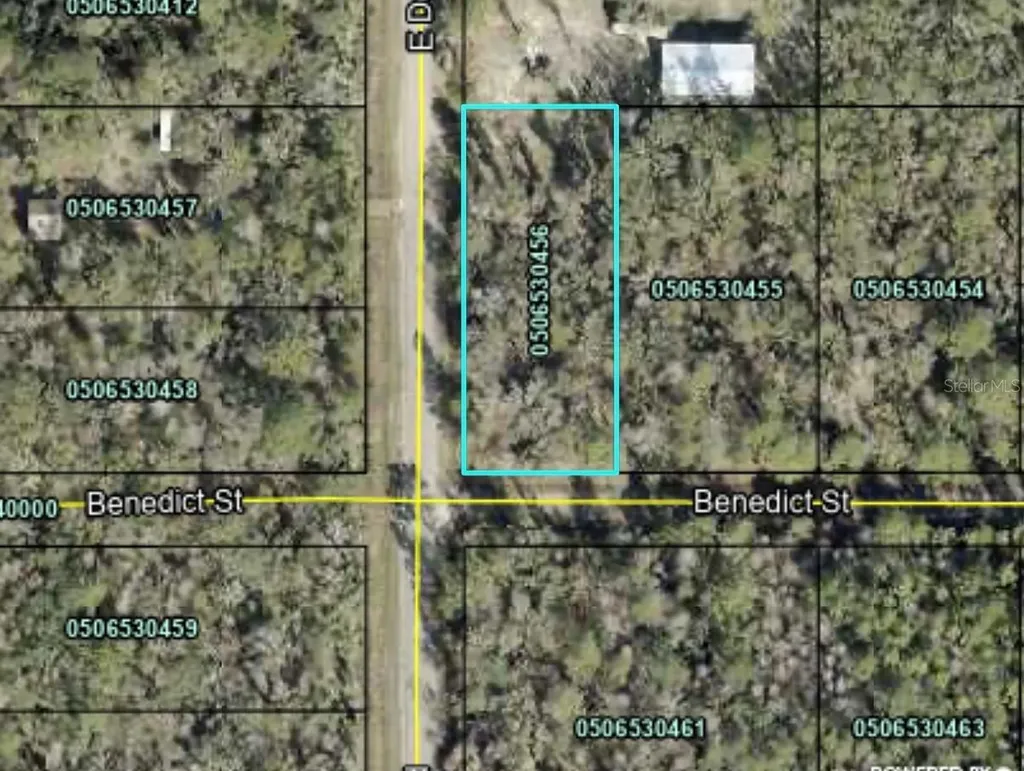 4790 Benedict Street Hastings FL 32145