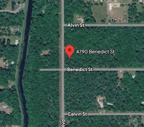 4790 Benedict Street Hastings FL 32145